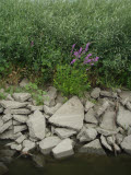 Select an image to enlarge
