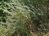 Select an image to enlarge