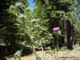 Select an image to enlarge