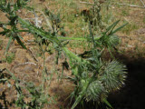 Select an image to enlarge