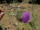 Select an image to enlarge