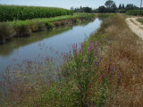 Select an image to enlarge