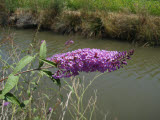 Select an image to enlarge
