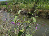 Select an image to enlarge
