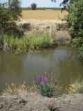 Select an image to enlarge