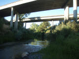 Select an image to enlarge