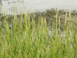 Select an image to enlarge