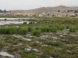 Select an image to enlarge