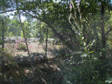 Select an image to enlarge