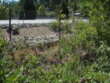 Select an image to enlarge