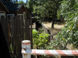 Select an image to enlarge