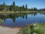 Select an image to enlarge