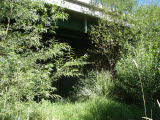 Select an image to enlarge