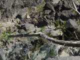 Select an image to enlarge