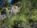 Select an image to enlarge