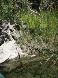Select an image to enlarge