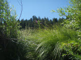 Select an image to enlarge
