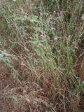 Select an image to enlarge