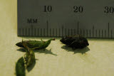 Select an image to enlarge