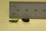 Select an image to enlarge
