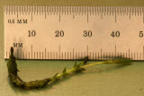 Select an image to enlarge