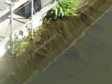 Select an image to enlarge