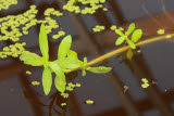 Select an image to enlarge
