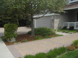 Select an image to enlarge