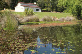 Select an image to enlarge