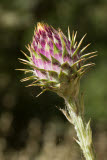 Select an image to enlarge
