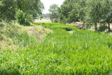 Select an image to enlarge