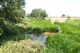 Select an image to enlarge