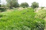 Select an image to enlarge