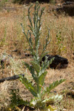 Select an image to enlarge
