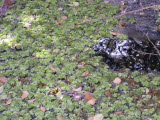 Select an image to enlarge