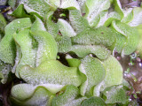 Select an image to enlarge