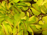 Select an image to enlarge