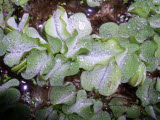 Select an image to enlarge