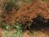 Select an image to enlarge