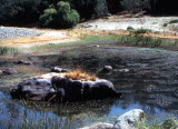 Select an image to enlarge