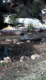 Select an image to enlarge