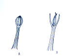 Select an image to enlarge