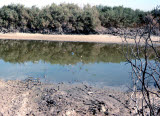 Select an image to enlarge