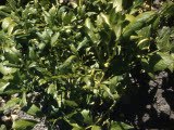 Select an image to enlarge