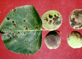 Select an image to enlarge