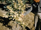 Select an image to enlarge