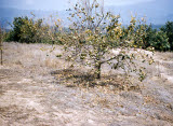 Select an image to enlarge
