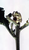 Select an image to enlarge