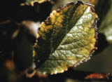 Select an image to enlarge
