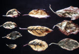 Select an image to enlarge